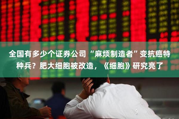 全国有多少个证券公司 “麻烦制造者”变抗癌特种兵？肥大细胞被改造，《细胞》研究亮了
